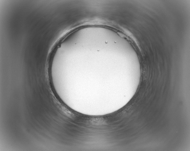 X0000074331464200609230040