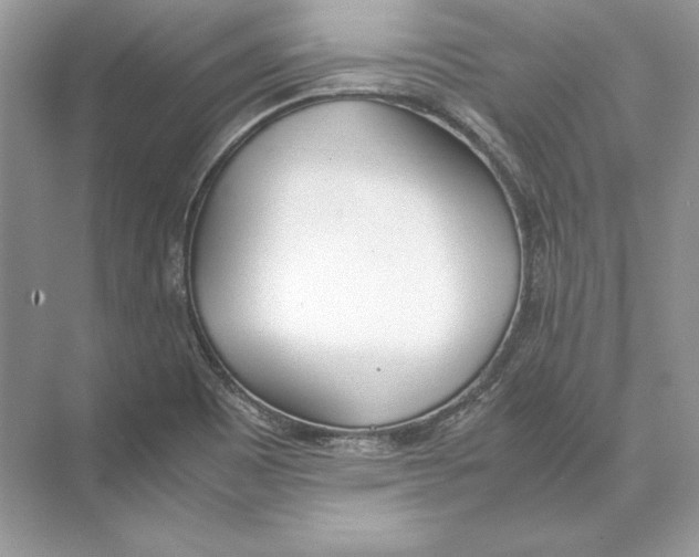 X0000074331465200609230040