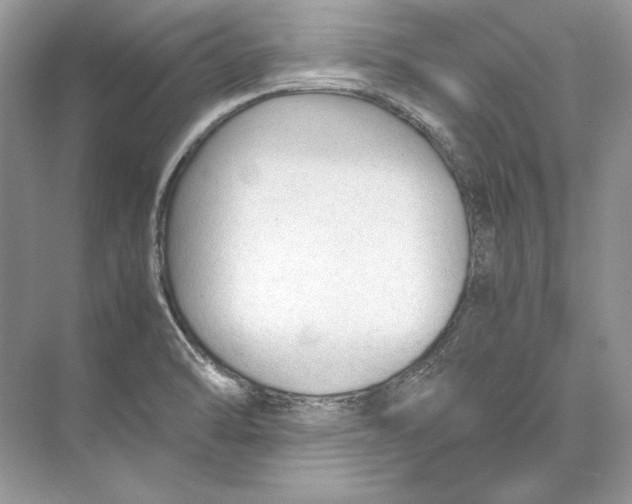 X0000074331470200609230040