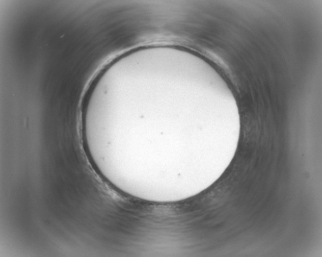 X0000074331472200609230040