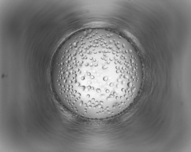 X0000074331473200609230039