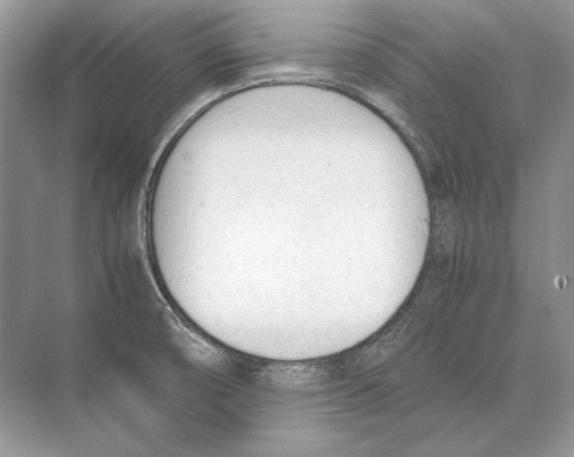 X0000074331474200609230039