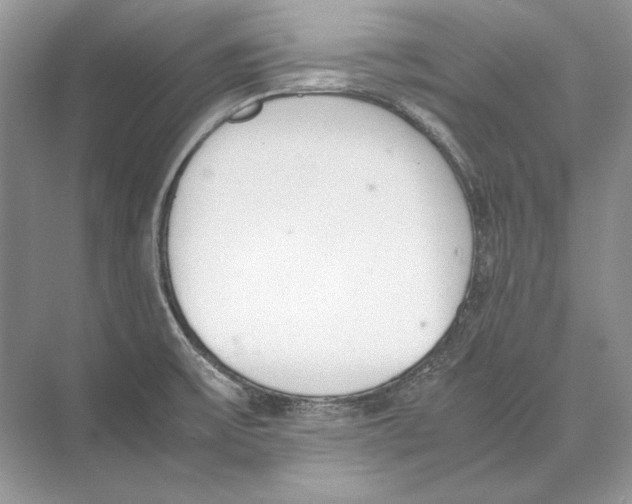 X0000074331475200609230039