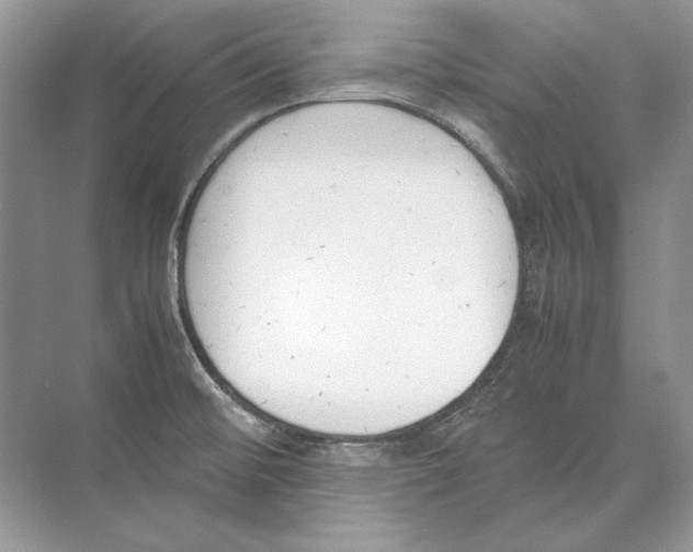 X0000074331476200609230039