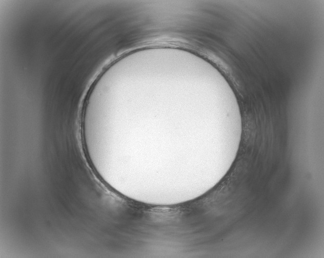 X0000074331478200609230039