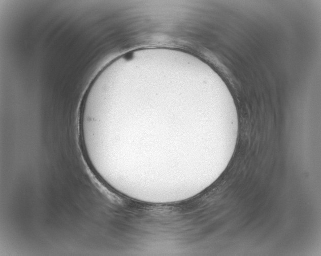 X0000074331479200609230039