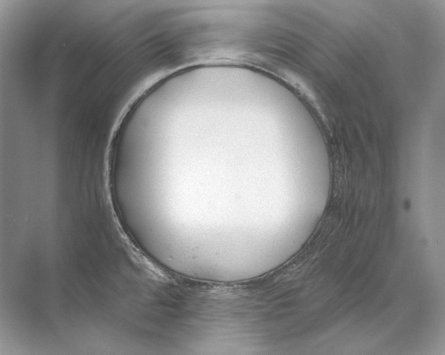 X0000074331480200609230039