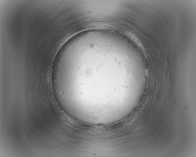 X0000074331481200609230039