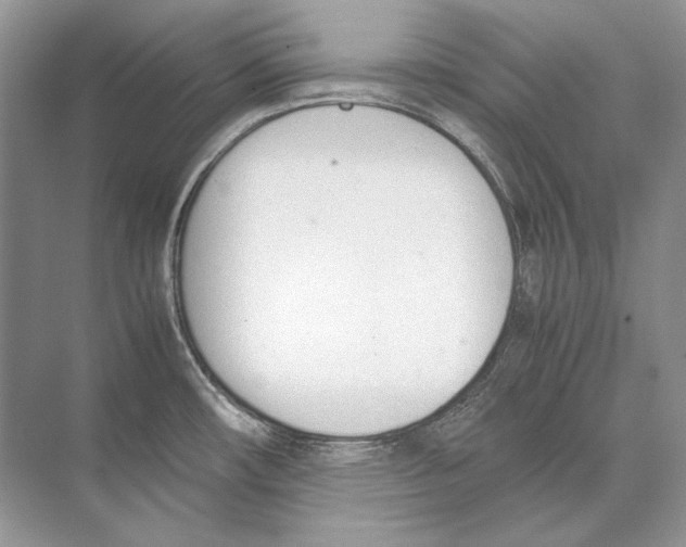 X0000074331482200609230039