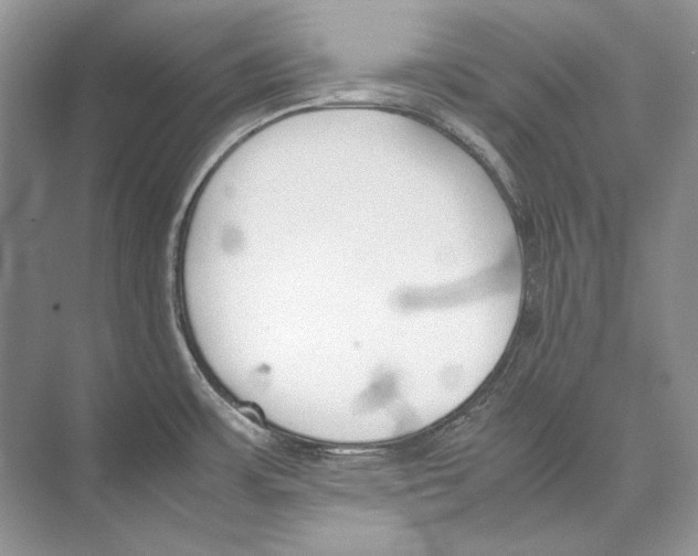 X0000074331483200609230039