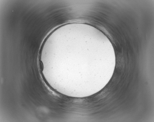 X0000074331484200609230039