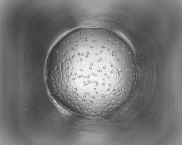 X0000074331485200609230039