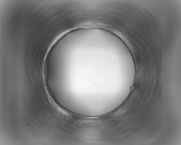 X0000074331486200609230039