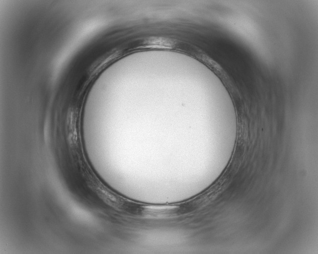 X0000074331487200609230039