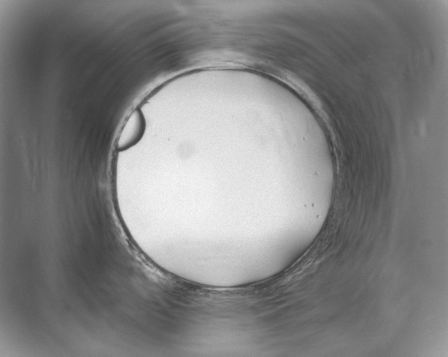 X0000074331488200609230039