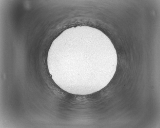 X0000074331489200609230038