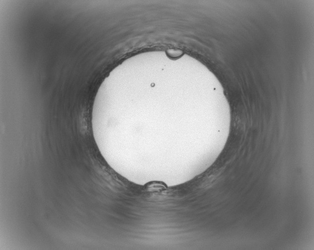 X0000074331490200609230038