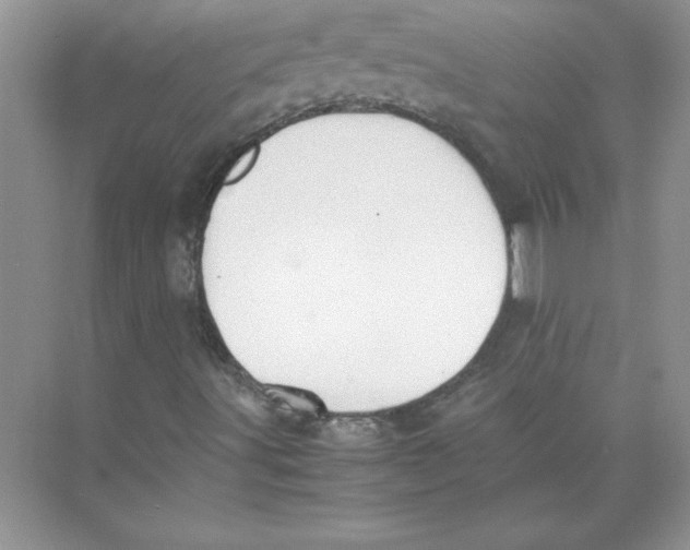 X0000074331491200609230038