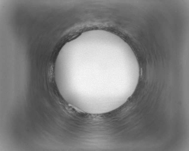 X0000074331492200609230038