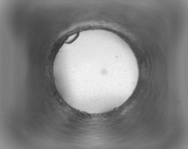 X0000074331494200609230039