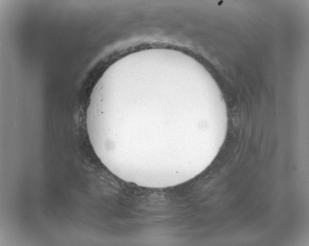 X0000074331495200609230039