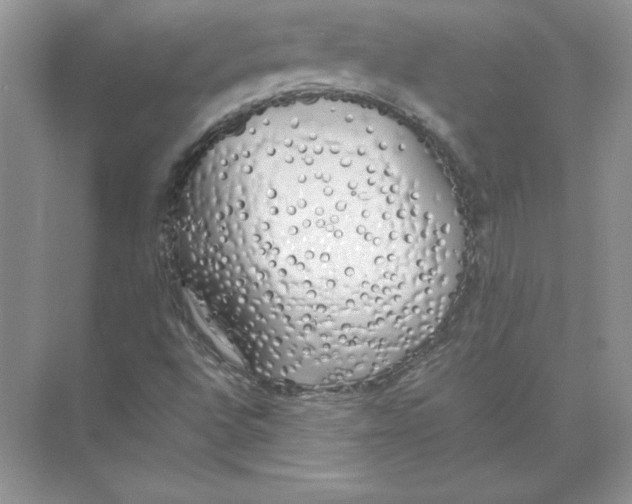 X0000074331496200609230039