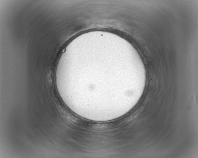 X0000074331497200609230039