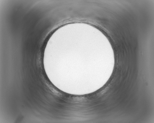 X0000074331498200609230039