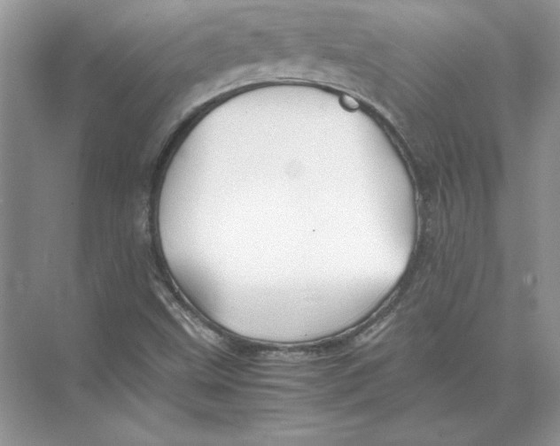 X0000074331499200609230039