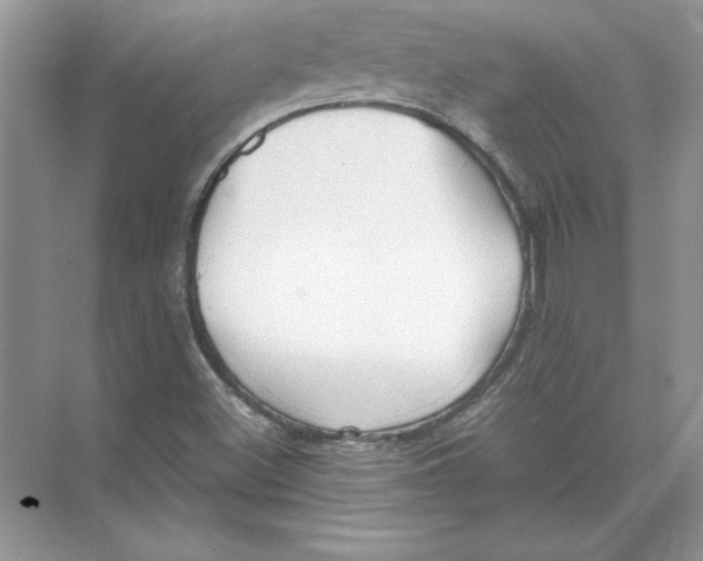 X0000074331500200609230039