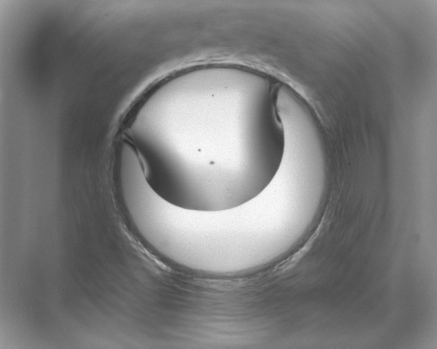 X0000074331502200609230039