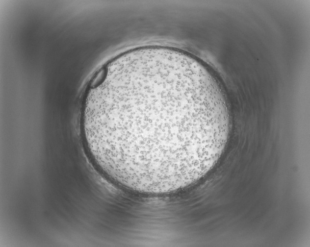 X0000074331504200609230039