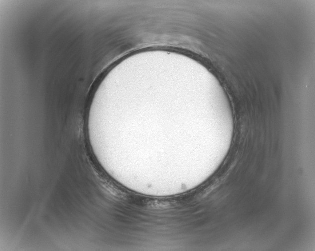 X0000074331505200609230039