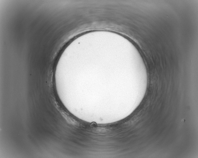 X0000074331507200609230039