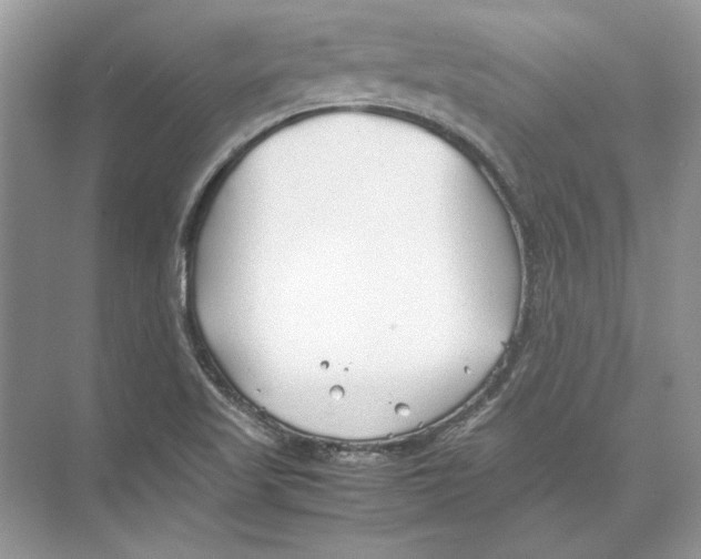 X0000074331509200609230039