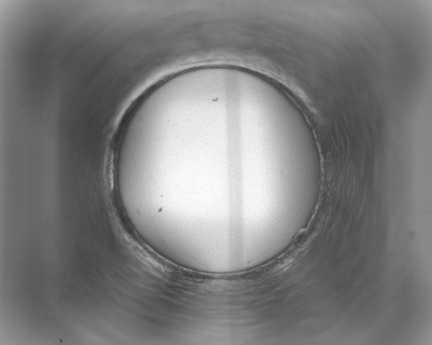 X0000074331510200609230039