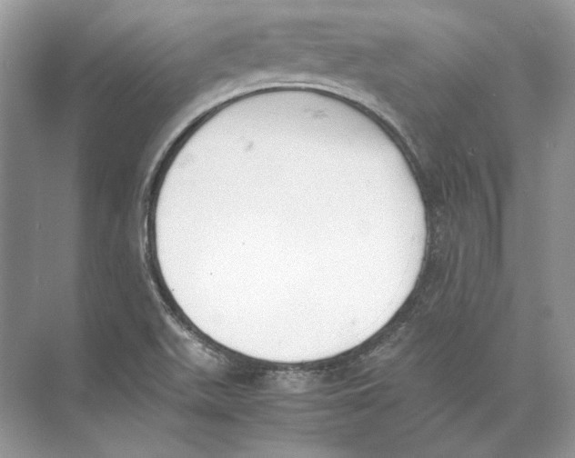 X0000074331511200609230039