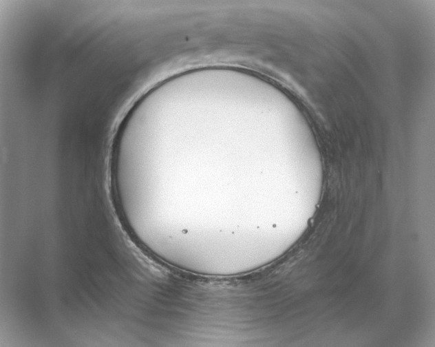 X0000074331512200609230039