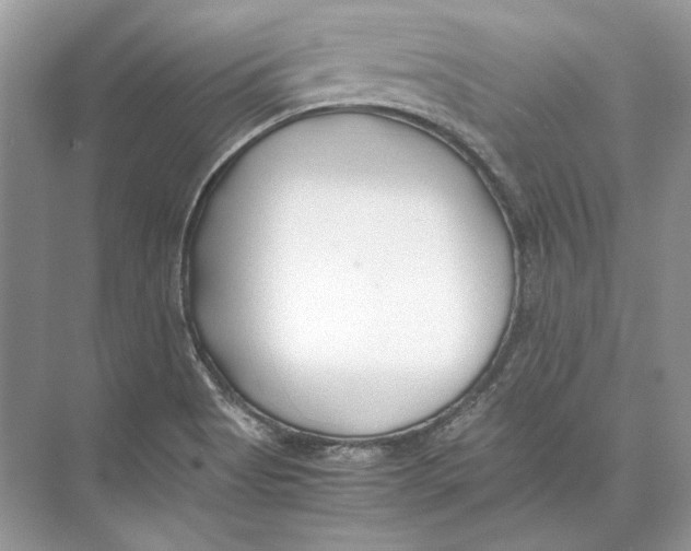 X0000074331513200609230039