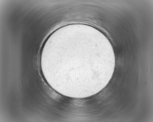 X0000074331514200609230039