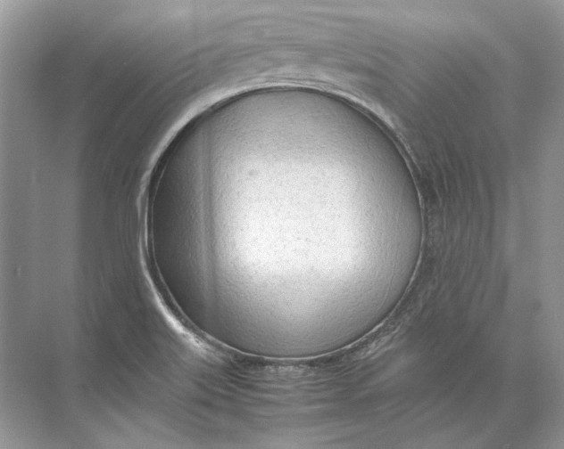 X0000074331515200609230039