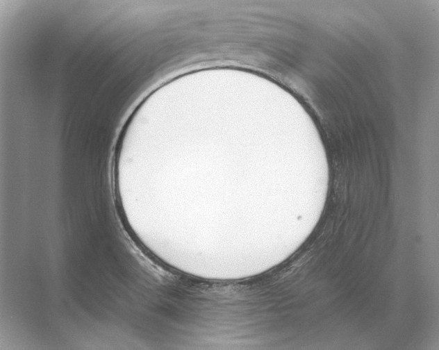 X0000074331516200609230039