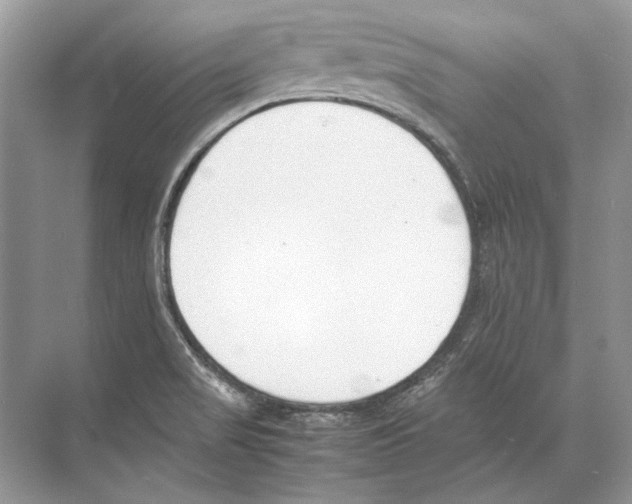 X0000074331517200609230039