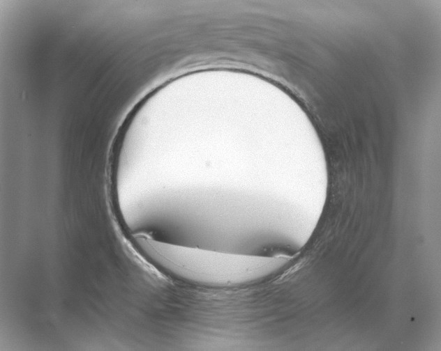 X0000074331518200609230039