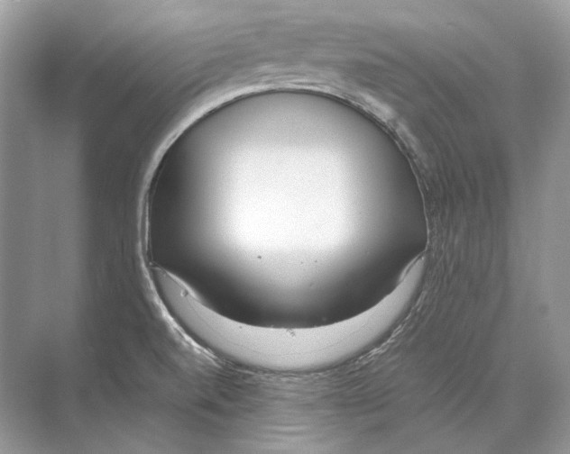 X0000074331520200609230039