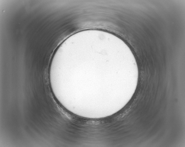 X0000074331521200609230039