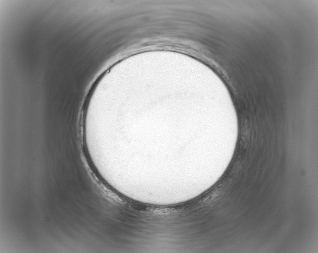 X0000074331522200609230039