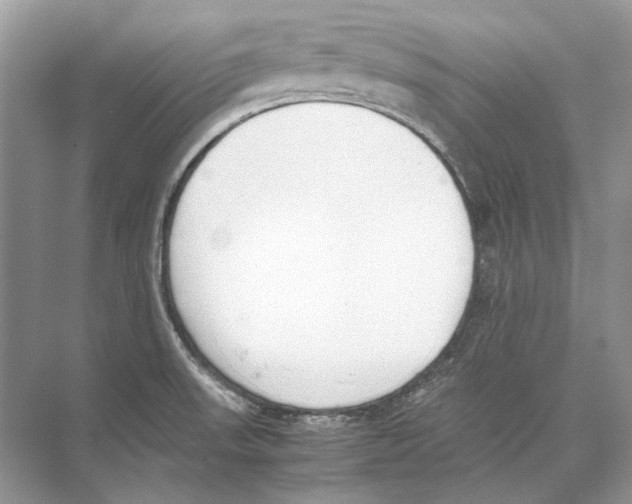 X0000074331523200609230039