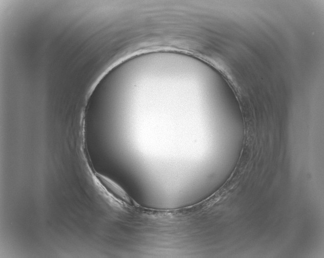 X0000074331524200609230039