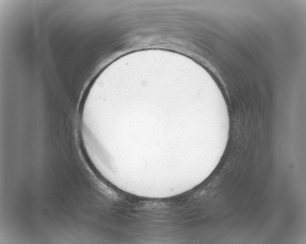 X0000074331525200609230039